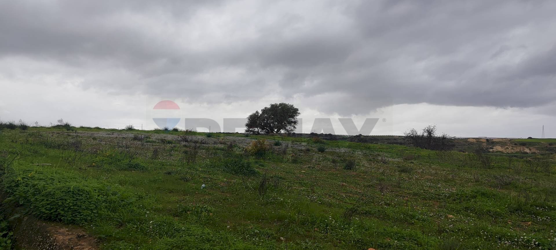 Vista delle montagne - Terreno agricolo CONTRADA SAN NICOLO' LE CANNE
SN, Caltagirone - foto 2