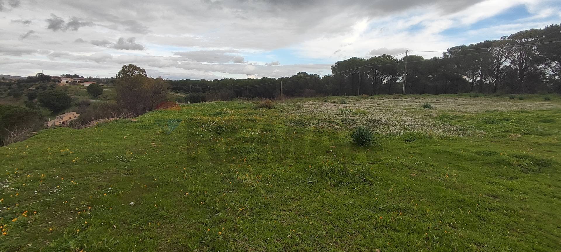Giardino - Terreno agricolo CONTRADA SAN NICOLO' LE CANNE
SN, Caltagirone - foto 3