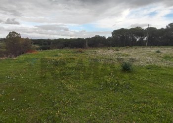 Giardino - Terreno agricolo CONTRADA SAN NICOLO' LE CANNE
SN, Caltagirone - foto 3