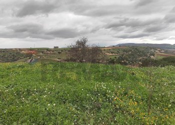 Vista delle montagne - Terreno agricolo CONTRADA SAN NICOLO' LE CANNE
SN, Caltagirone - foto 5
