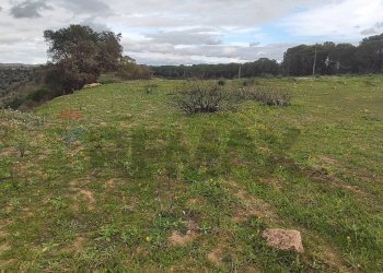 Vista delle montagne - Terreno agricolo CONTRADA SAN NICOLO' LE CANNE
SN, Caltagirone - foto 7