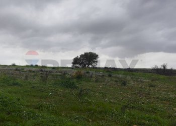 Vista delle montagne - Terreno agricolo CONTRADA SAN NICOLO' LE CANNE
SN, Caltagirone - foto 11
