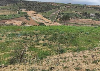 Vista delle montagne - Terreno agricolo CONTRADA SAN NICOLO' LE CANNE
SN, Caltagirone - foto 16