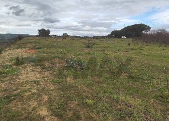 Non correlato - Terreno agricolo CONTRADA SAN NICOLO' LE CANNE
SN, Caltagirone - foto 17
