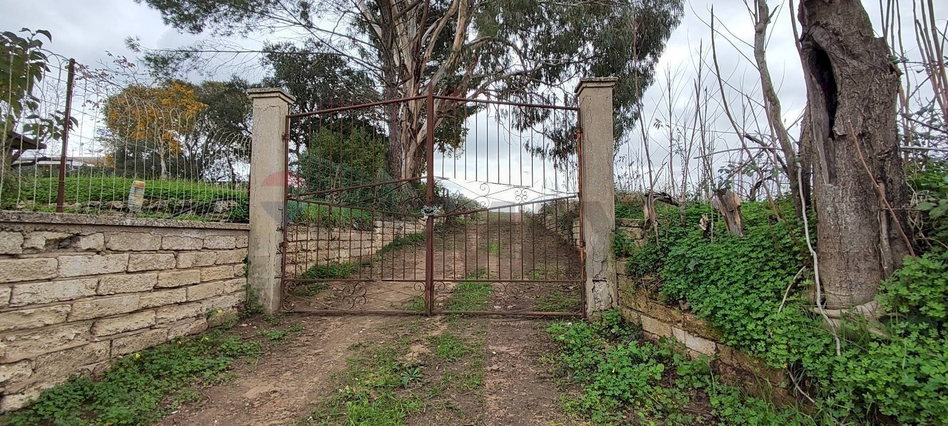 Giardino - Terreno agricolo C.DA COSTABAIRA
 
SN, Caltagirone - foto 2