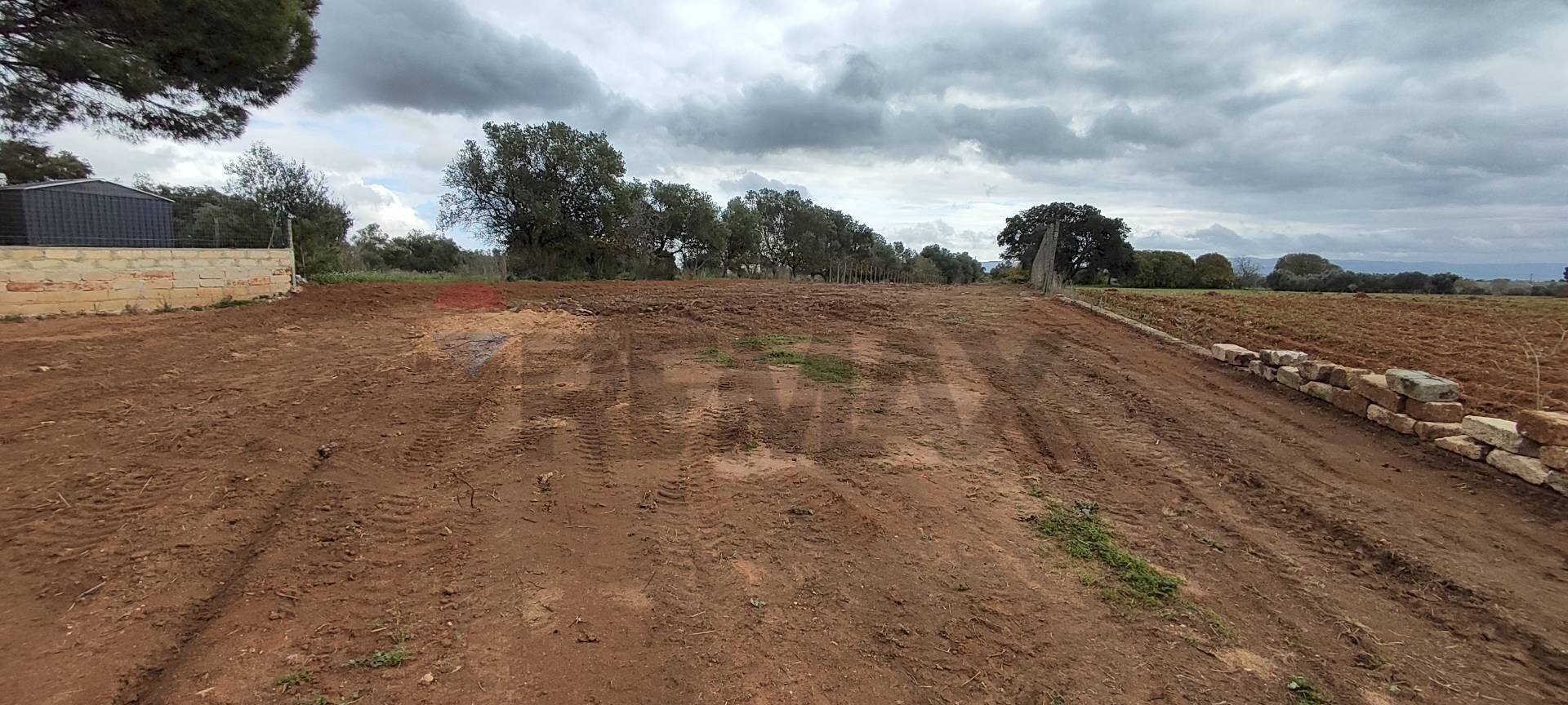 Non correlato - Terreno agricolo C.DA COSTABAIRA
 
SN, Caltagirone - foto 3