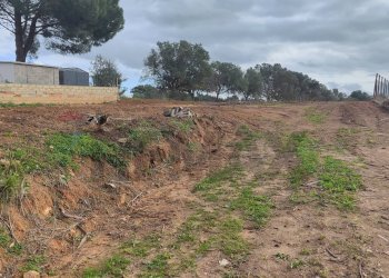 Giardino - Terreno agricolo C.DA COSTABAIRA
 
SN, Caltagirone - foto 1