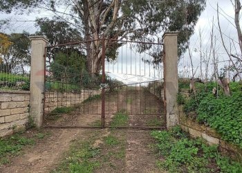 Giardino - Terreno agricolo C.DA COSTABAIRA
 
SN, Caltagirone - foto 2