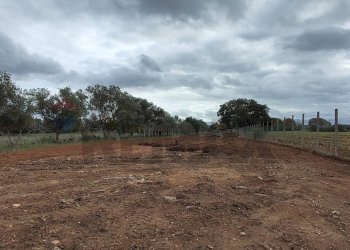 Non correlato - Terreno agricolo C.DA COSTABAIRA
 
SN, Caltagirone - foto 4