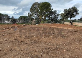 Giardino - Terreno agricolo C.DA COSTABAIRA
 
SN, Caltagirone - foto 5