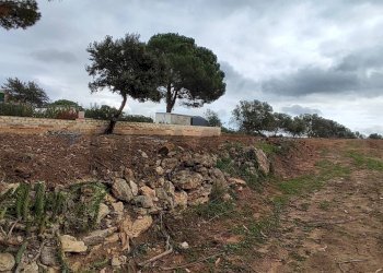 Giardino - Terreno agricolo C.DA COSTABAIRA
 
SN, Caltagirone - foto 6