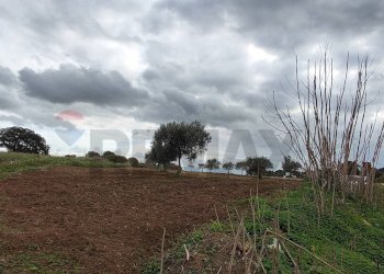 Giardino - Terreno agricolo C.DA COSTABAIRA
 
SN, Caltagirone - foto 7