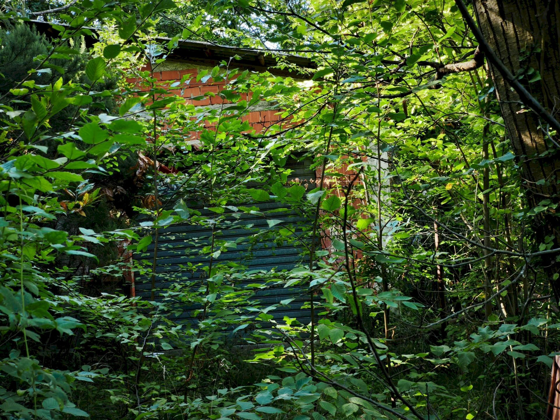 Giardino - Magazzino Stella - foto 1