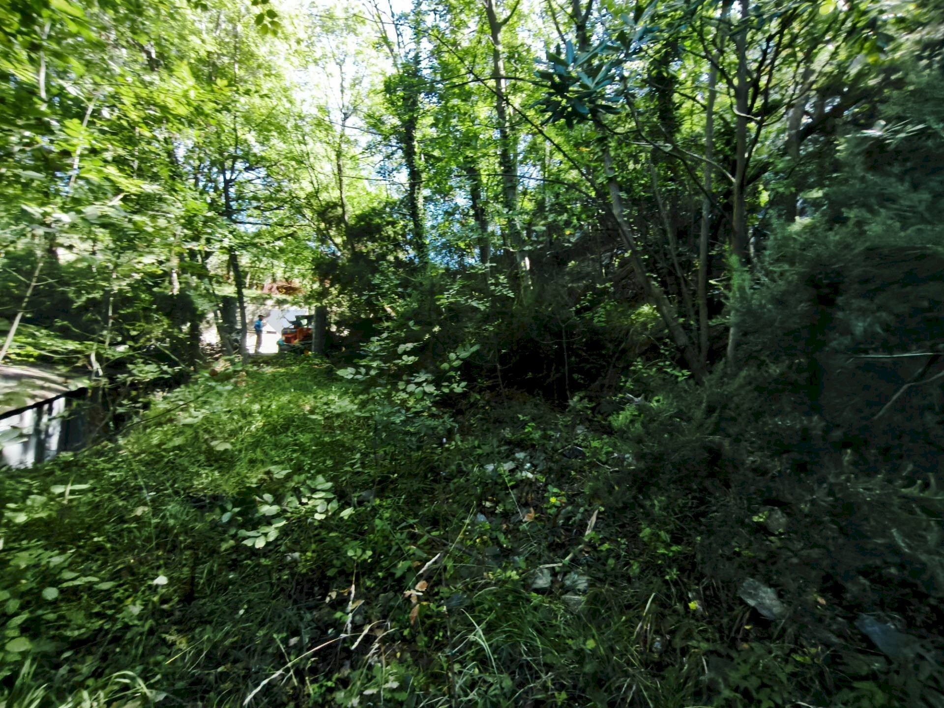 Giardino - Magazzino Stella - foto 2