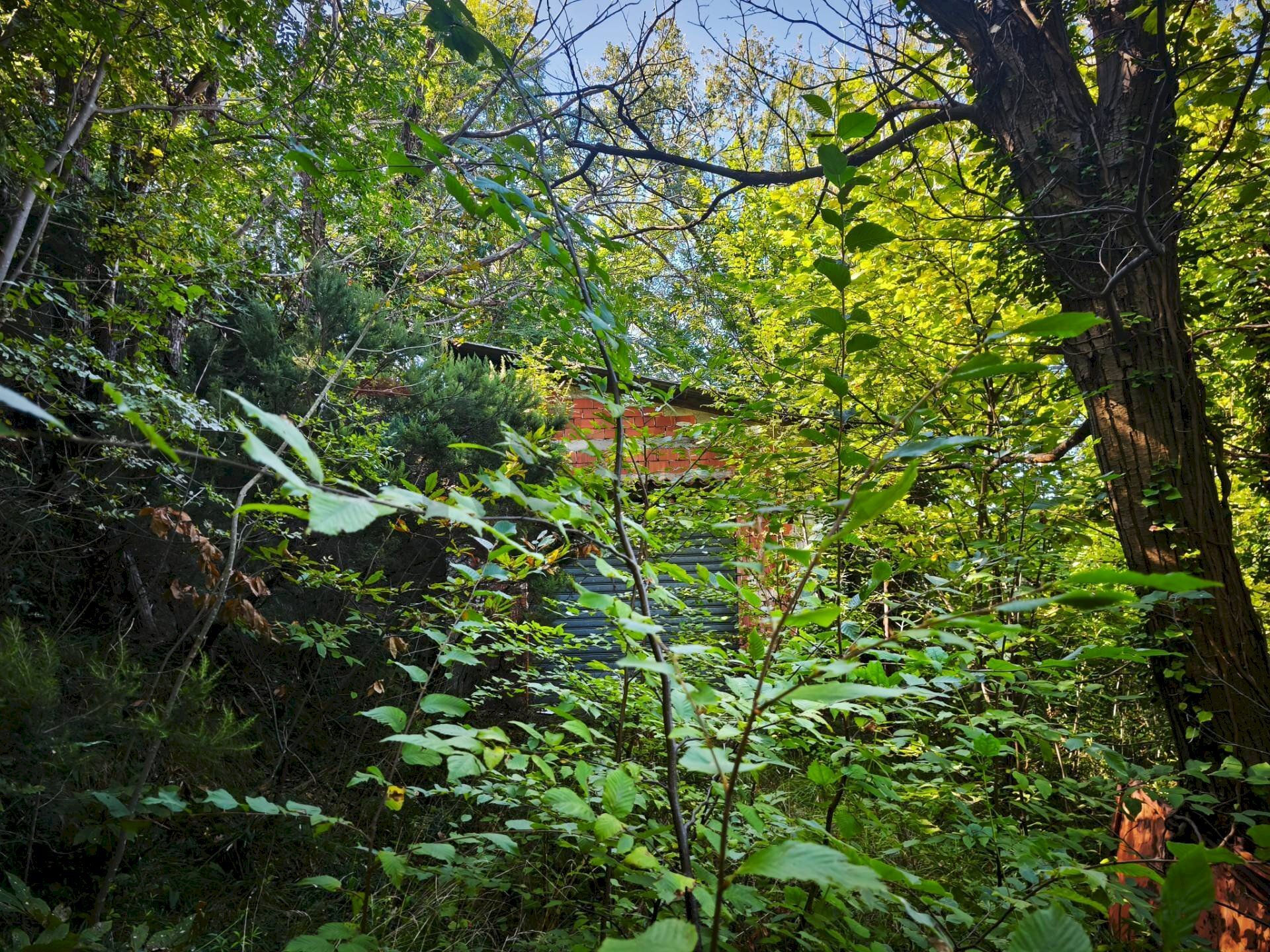 Giardino - Magazzino Stella - foto 3