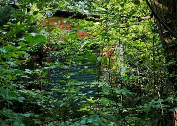 Giardino - Magazzino Stella - foto 1