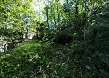 Giardino - Magazzino Stella - foto 2