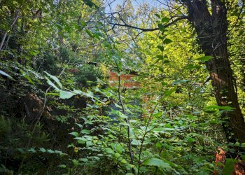 Giardino - Magazzino Stella - foto 3