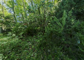 Giardino - Magazzino Stella - foto 4