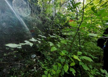 Giardino - Magazzino Stella - foto 5