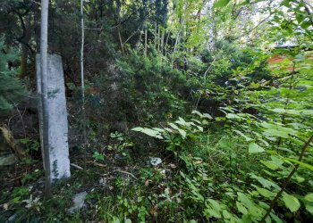 Giardino - Magazzino Stella - foto 6