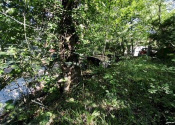 Giardino - Magazzino Stella - foto 7