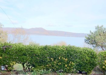 Foto 37 - Villa Strada provinciale valle di vico, Ronciglione - foto 37