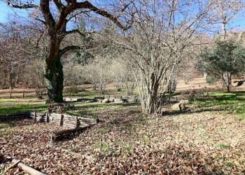 Foto 10 - Rustico località Fogliano, Caprarola - foto 10