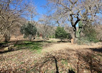 Foto 11 - Rustico località Fogliano, Caprarola - foto 11