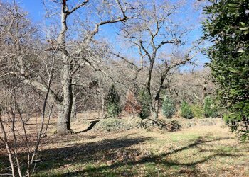 Foto 12 - Rustico località Fogliano, Caprarola - foto 12