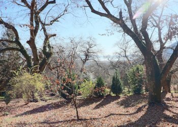 Foto 14 - Rustico località Fogliano, Caprarola - foto 14