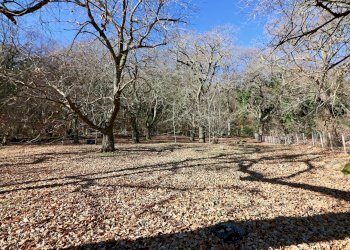 Foto 15 - Rustico località Fogliano, Caprarola - foto 15