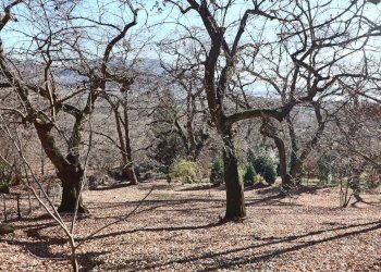 Foto 19 - Rustico località Fogliano, Caprarola - foto 19