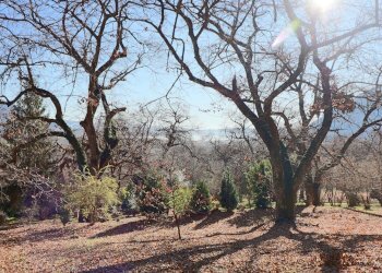 Foto 20 - Rustico località Fogliano, Caprarola - foto 20