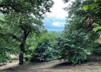 Foto 53 - Rustico località Fogliano, Caprarola - foto 53