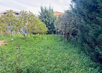 Giardino - Casa semi indipendente Viale San Francesco
 
53, Campofelice di Roccella - foto 4