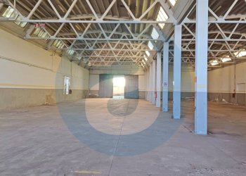 Foto 4 - Capannone Bari - foto 4