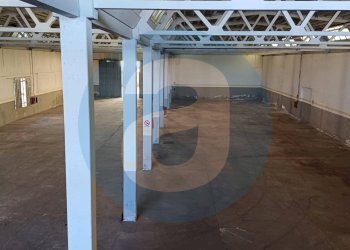 Foto 7 - Capannone Bari - foto 7