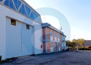 Foto 10 - Capannone Bari - foto 10