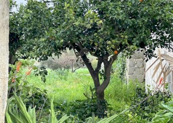 Giardino - Independent house Via Milano
 
45, Erice - photo 10