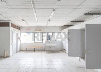 Non correlato - Capannone C.DA CANCELLI
 
SNC, Castilenti - foto 19