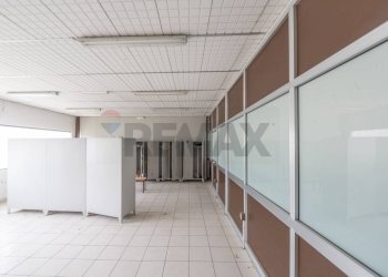 Non correlato - Capannone C.DA CANCELLI
 
SNC, Castilenti - foto 20