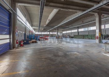 Parcheggio - Capannone C.DA CANCELLI
 
SNC, Castilenti - foto 40