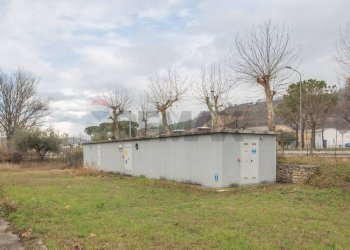 Giardino - Capannone C.DA CANCELLI
 
SNC, Castilenti - foto 45