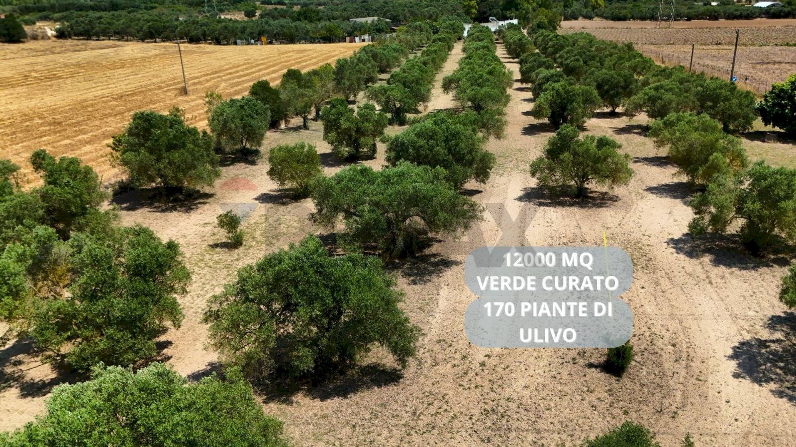 Giardino - Terreno agricolo bia beccia serramanna, Villasor - foto 1