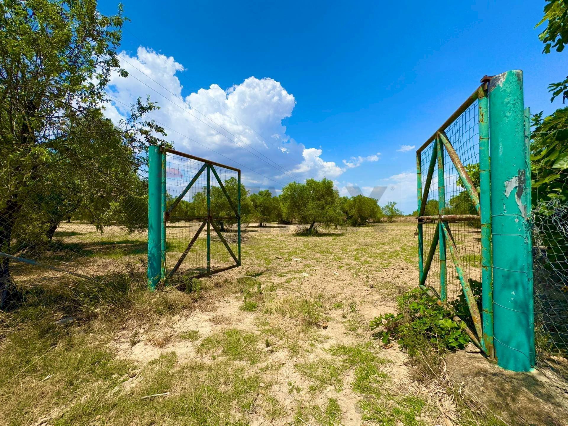Giardino - Terreno agricolo bia beccia serramanna, Villasor - foto 2