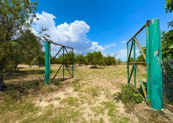 Giardino - Terreno agricolo bia beccia serramanna, Villasor - foto 2