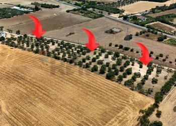 Posizione della mappa - Terreno agricolo bia beccia serramanna, Villasor - foto 7