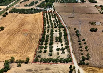 Posizione della mappa - Terreno agricolo bia beccia serramanna, Villasor - foto 8