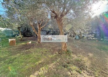 Foto 16 - Casa semi indipendente via degli ulivi, Seravezza - foto 16